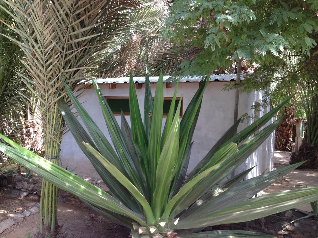 Morabeza 3*